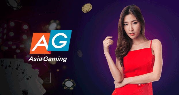 provider asia gaming